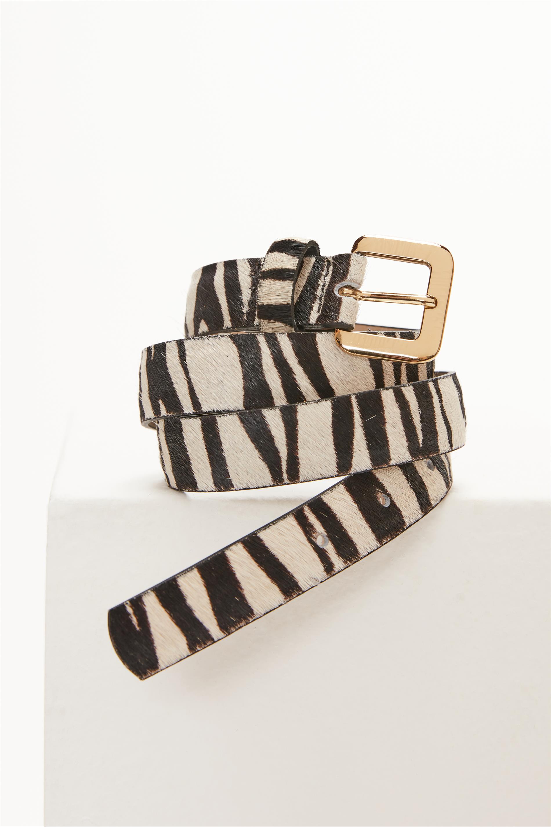 Cinto Animal Print com Fivela Dourada
